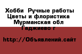 Хобби. Ручные работы Цветы и флористика. Мурманская обл.,Гаджиево г.